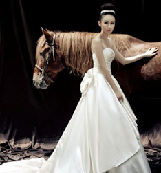 丛林幻想
	
		作者：匿名