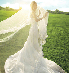 STAR WEDDING
	
		作者：蒋真