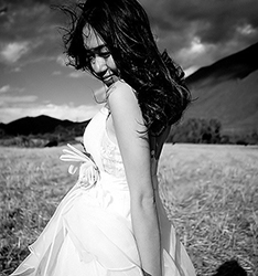 风旅者
	
		作者：张黎[黑子黎]