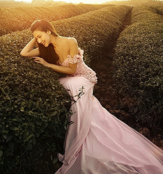 茶之恋
	
		作者：武文晨