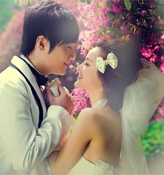 花语
	
		作者：冯世华