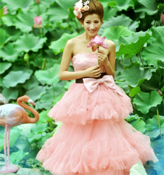 荷塘缘
	
		作者：陈杰