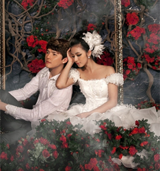 杨芳菲
	
		作者：匿名