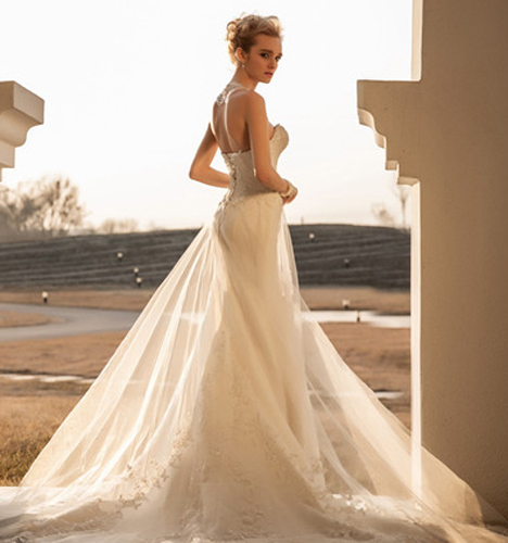 一袭白纱
	
		作者：郭亮