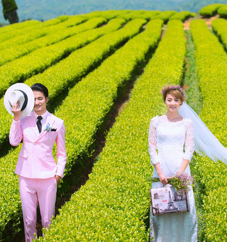 茶园
	
		作者：肖厚志