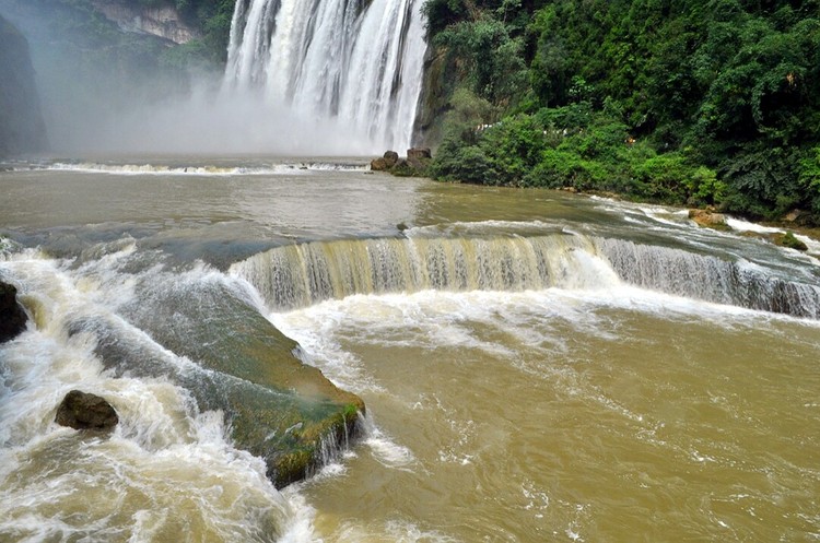 点击大图看下一张：不老的黄果树