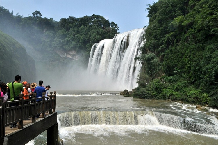 点击大图看下一张：不老的黄果树