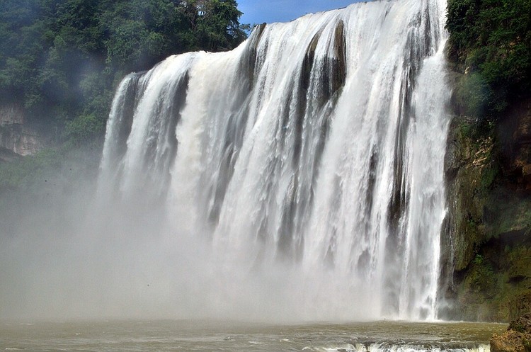 点击大图看下一张：不老的黄果树