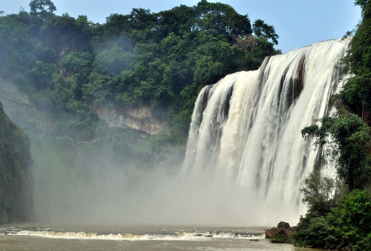 点击大图看下一张：不老的黄果树