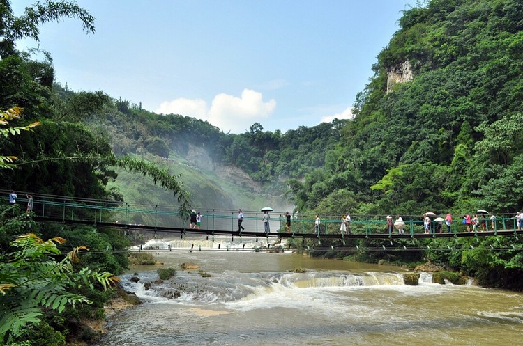 点击大图看下一张：不老的黄果树