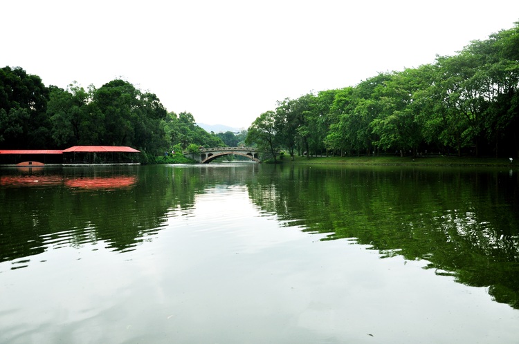 点击大图看下一张:广州.华南植物园