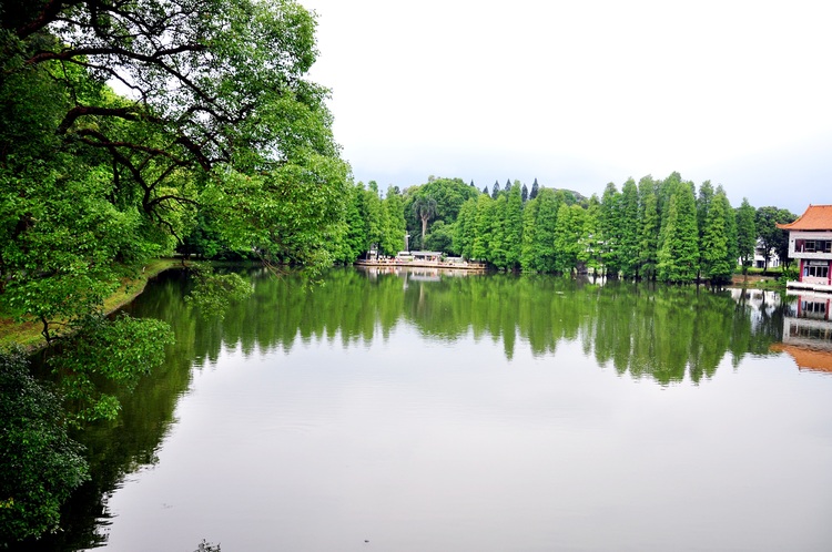 点击大图看下一张:广州.华南植物园