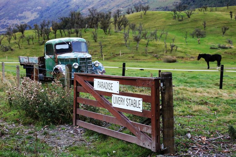 点击大图看下一张：新西兰南北岛自驾游之天堂牧场