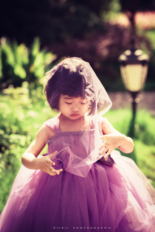 点击大图看下一张:紫色公主梦