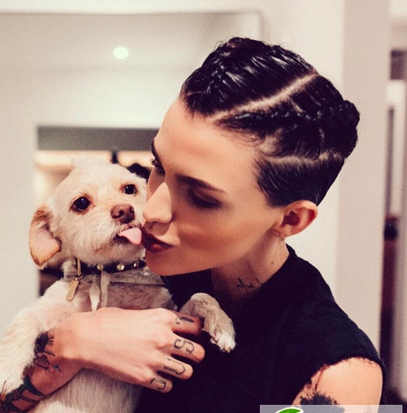 点击大图看下一张：Ruby Rose短发编发 帅气女生短发发型图片