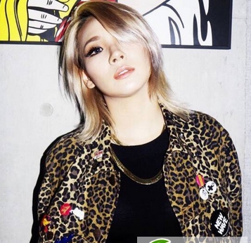 点击大图看下一张:韩国最帅Rapper女王李彩麟发型发色盘点