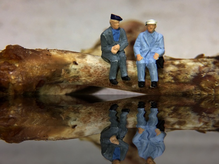 点击大图看下一张:两块鸡骨头