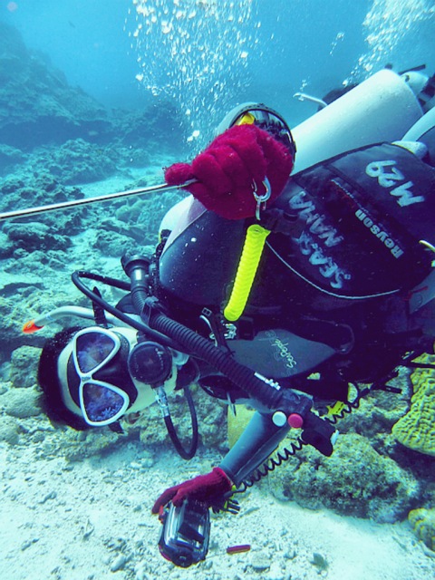 点击大图看下一张：11月冲绳之旅