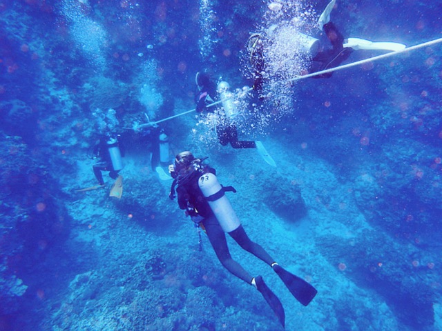 点击大图看下一张：11月冲绳之旅