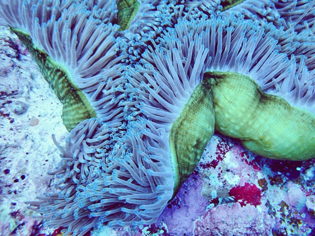 点击大图看下一张:11月冲绳之旅