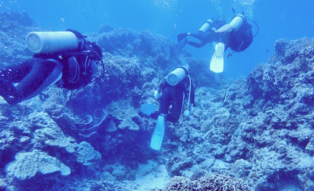 点击大图看下一张：11月冲绳之旅