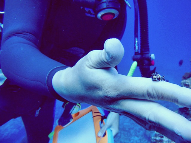 点击大图看下一张：11月冲绳之旅