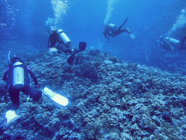 点击大图看下一张:11月冲绳之旅