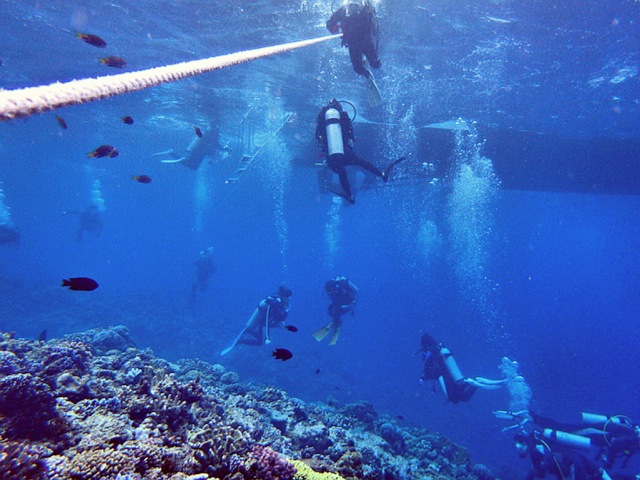 点击大图看下一张：11月冲绳之旅