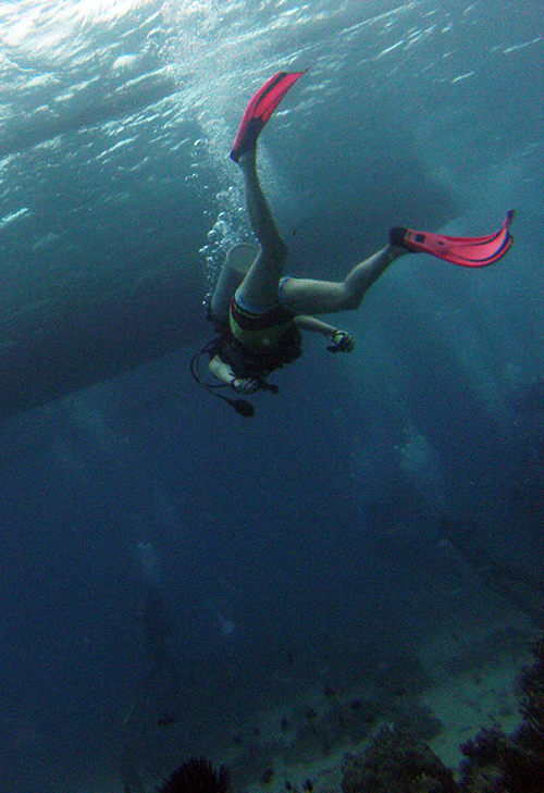 点击大图看下一张：长滩岛潜水
