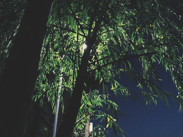 点击大图看下一张：小城夜市