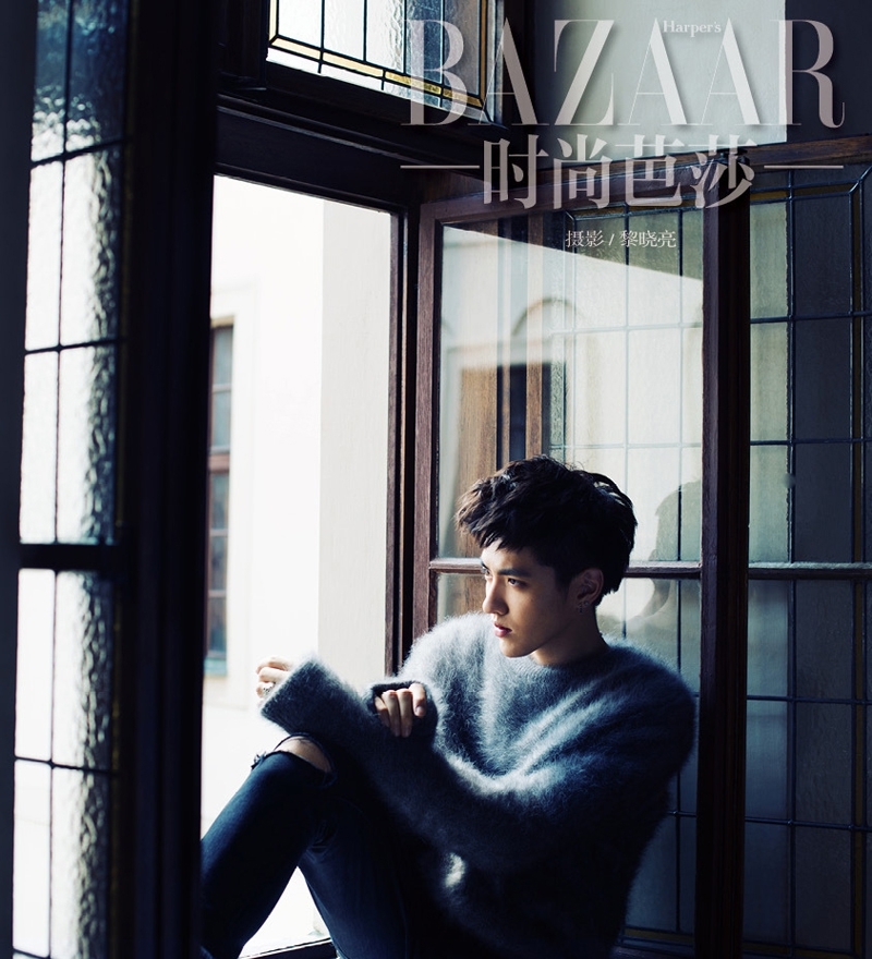 点击大图看下一张：男神吴亦凡最帅的图片