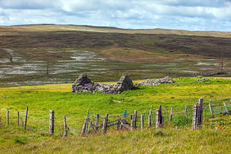 点击大图看下一张：设得兰农庄