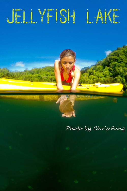 点击大图看下一张:彩虹的故乡帛琉