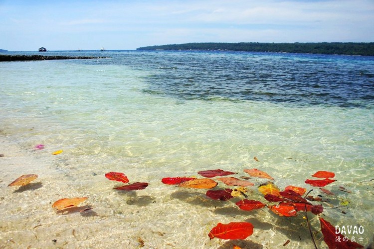点击大图看下一张:菲律宾达沃潜水