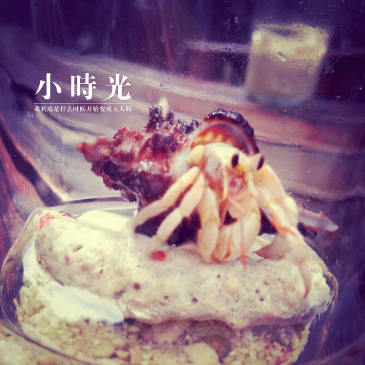 点击大图看下一张:马来西亚-潜水之旅