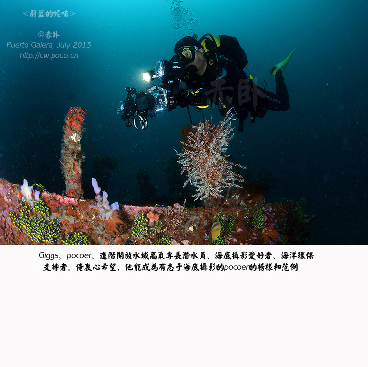 点击大图看下一张:蔚蓝的呢喃