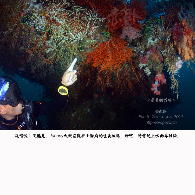 点击大图看下一张:蔚蓝的呢喃