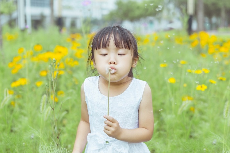 点击大图看下一张:糖豆豆和楚楚的夏天