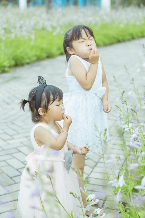 点击大图看下一张：糖豆豆和楚楚的夏天