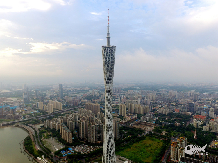 点击大图看下一张:珠江边的早晨