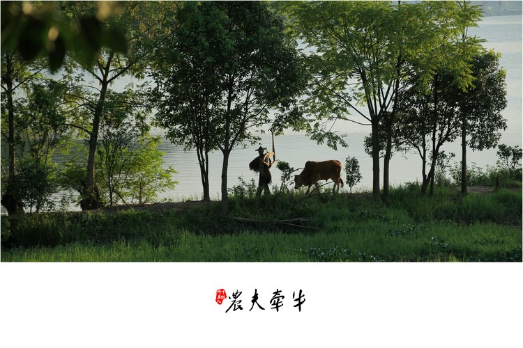 点击大图看下一张:鱼耕暮归图