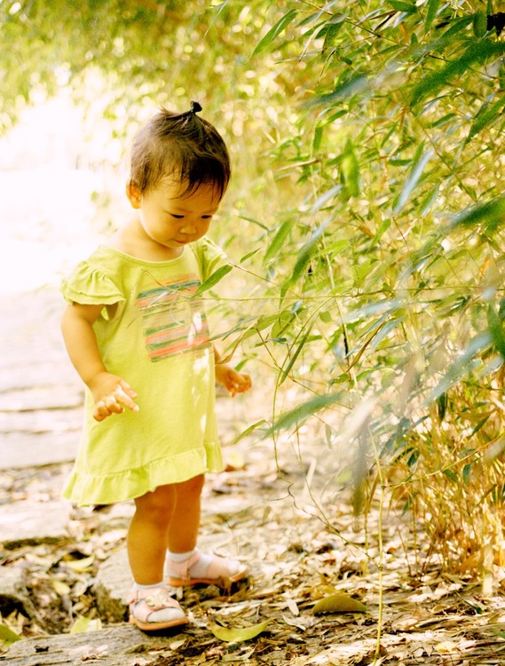 点击大图看下一张:开始走秋天的感觉了