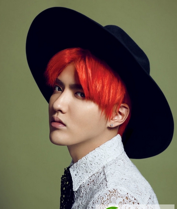 点击大图看下一张:男生染发流行色 暖男PK型男染发颜色大对比