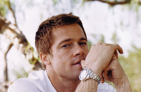 点击大图看下一张：布拉德·皮特Brad Pitt的图片