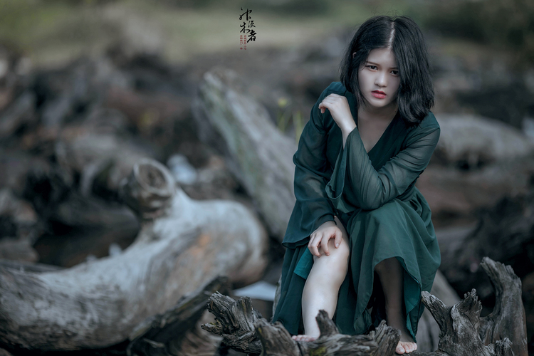 点击大图看下一张:神木的传说