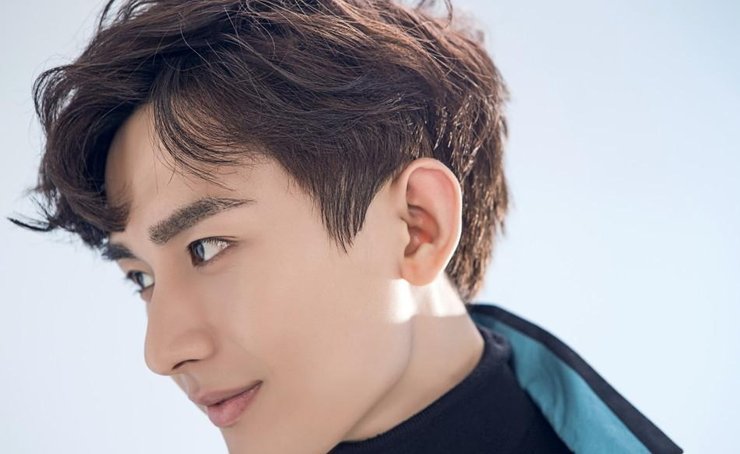 点击大图看下一张：成毅鲜秀摩登竖条纹复古写真 潮味十足