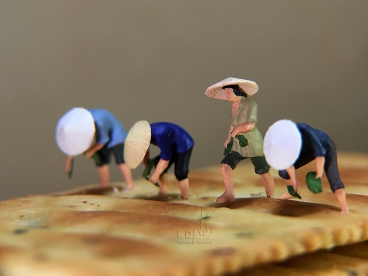 点击大图看下一张:葱香饼干 创意微距