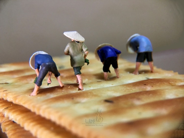 点击大图看下一张：葱香饼干 创意微距