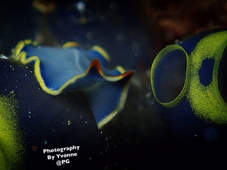 点击大图看下一张：Battangas channel