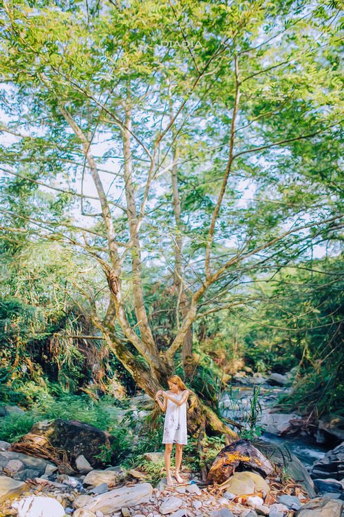 点击大图看下一张：夏有乔木 雅望沿溪